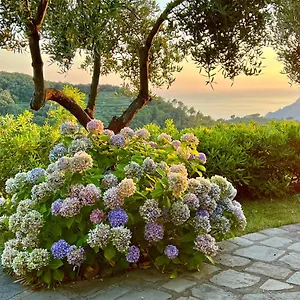 incanto-san-bernardino.hotelitalianriviera.com/